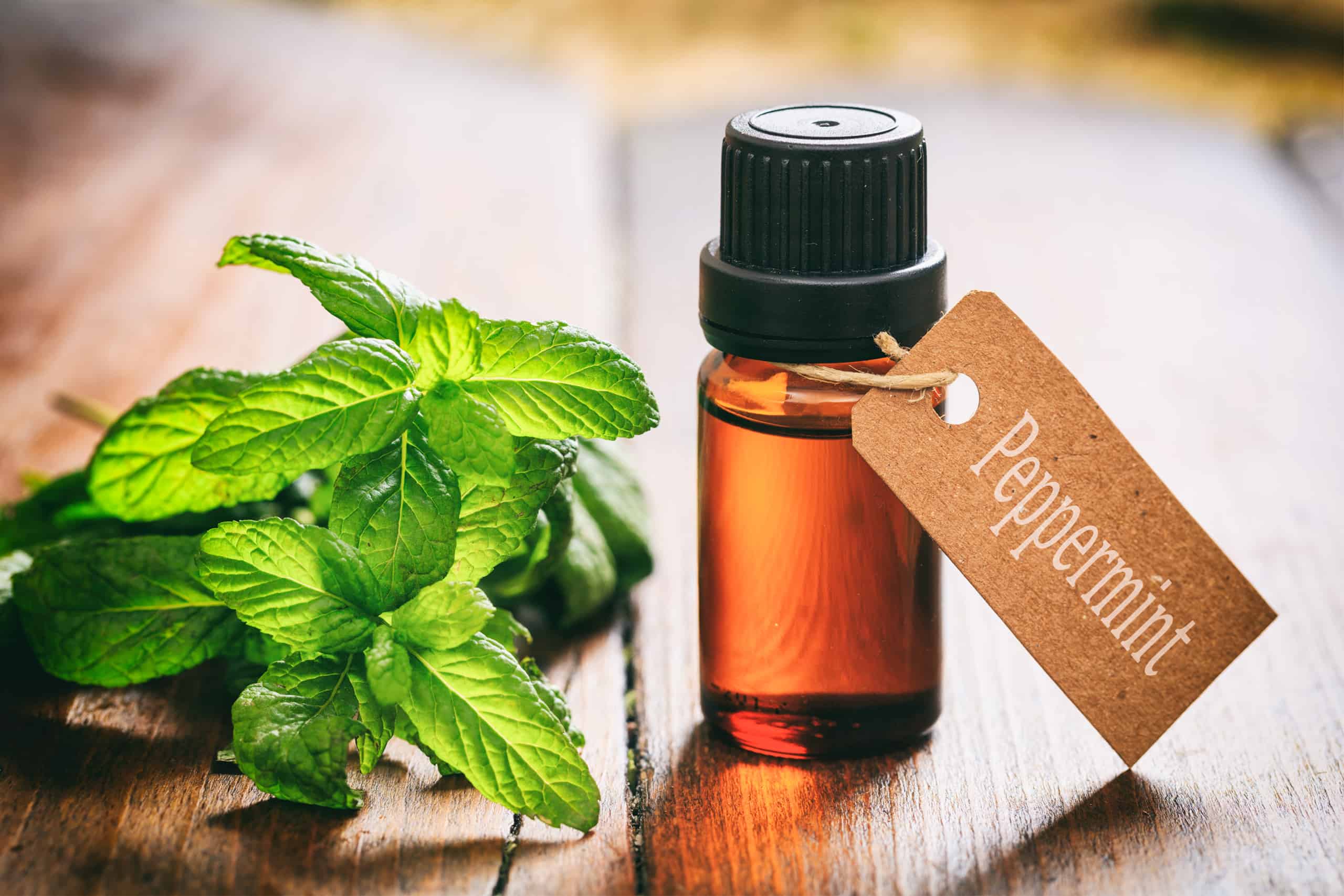 The Soothing Benefits of Peppermint Oil for Back Pain