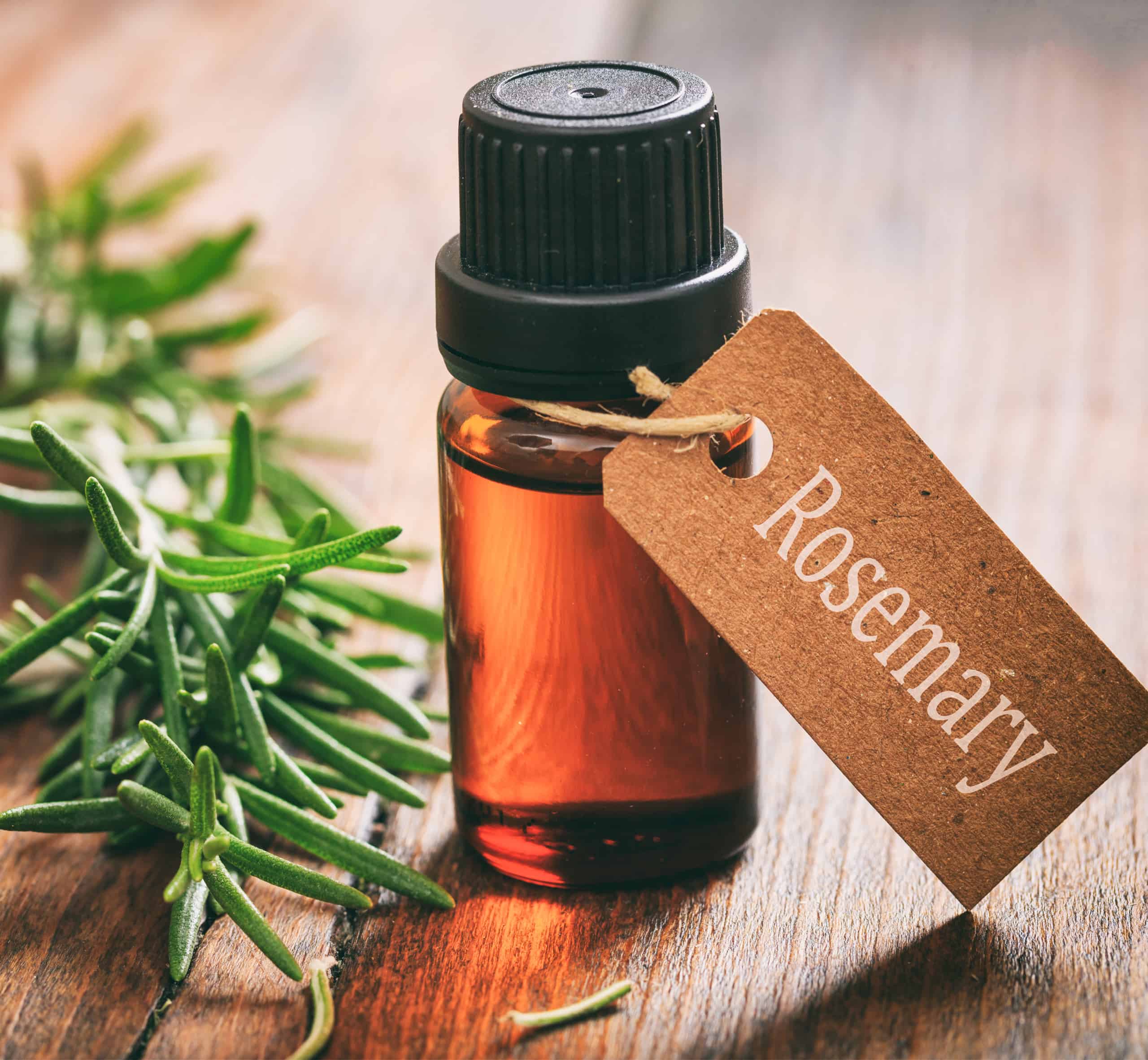 The Power of Rosemary Oil for Muscle Aches and Back Pain